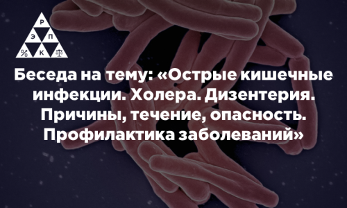 Беседа на тему: «Острые кишечные инфекции. Холера. Дизентерия. Причины, течение, опасность. Профилактика заболеваний»